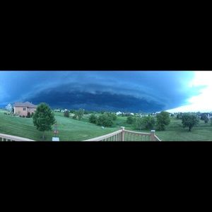 Meet your Posher, Ava